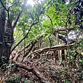 牧丹石門山 (15).jpg