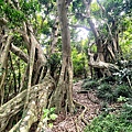 牧丹石門山 (18).jpg