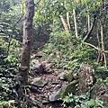 德文山 (7).jpg