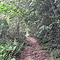 德文山 (16).jpg