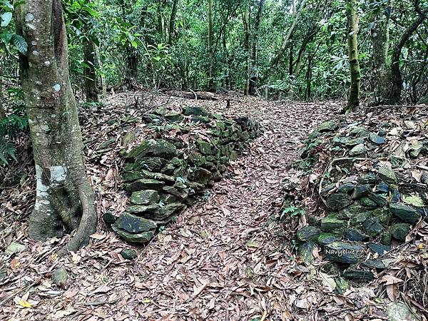 鳴海三星 (54).jpg