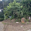 車坪崙山 (4).jpg