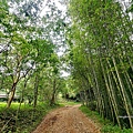 車坪崙山 (10).jpg