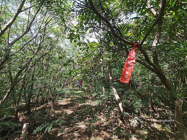 車城小尖山 (2).jpg