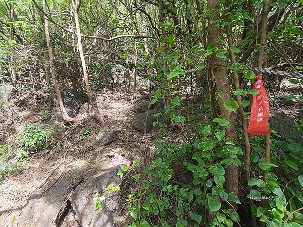 車城小尖山 (5).jpg