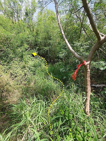 車城小尖山 (4).jpg