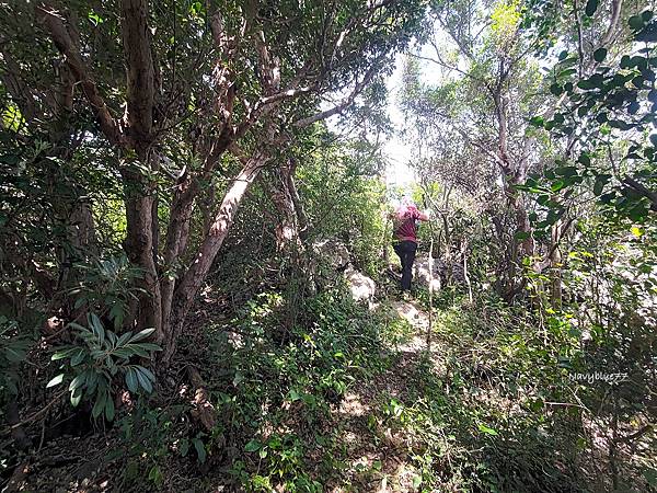 車城小尖山 (10).jpg