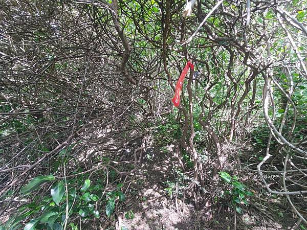 車城小尖山 (9).jpg