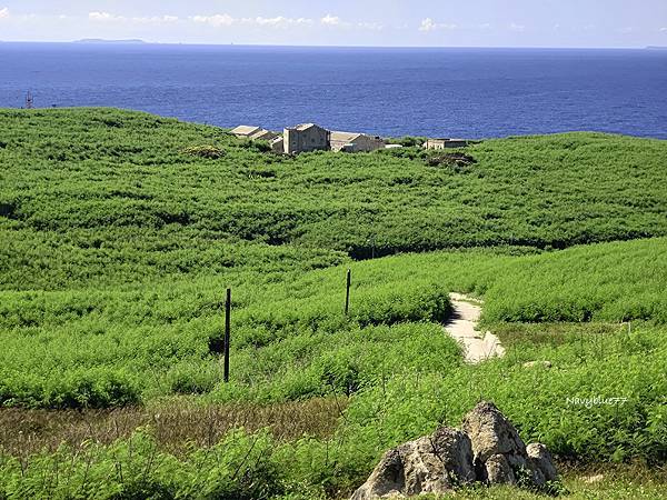 花嶼燈塔 (22).jpg