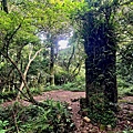 小觀音山 (2).jpg