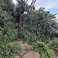小觀音山 (6).jpg