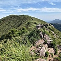 小觀音山 (15).jpg