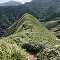 小觀音山 (31).jpg
