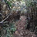 小觀音山 (33).jpg