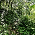 小觀音山 (45).jpg