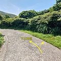 小觀音山 (60).jpg