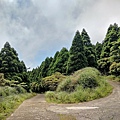 小觀音山 (59).jpg
