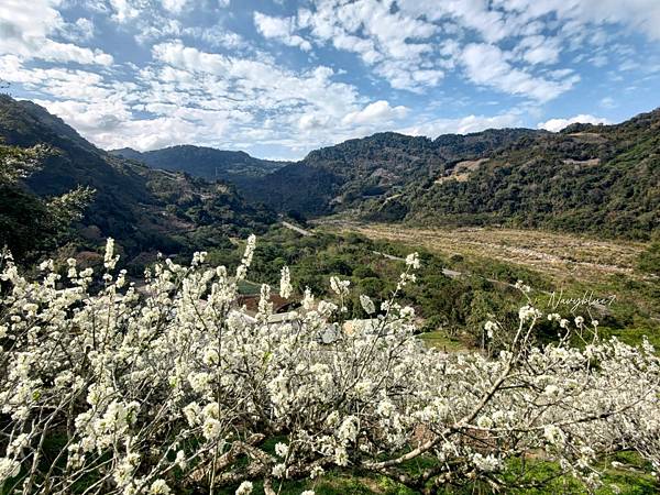 泰安春雪 (10).JPG