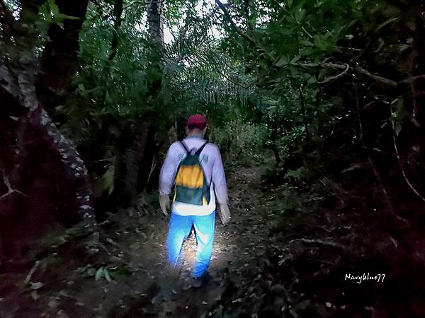 高士佛山神木 (37).jpg