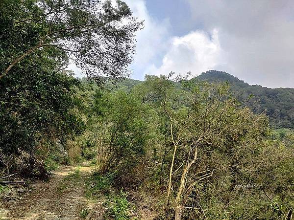 龍母拜山 (2).jpg