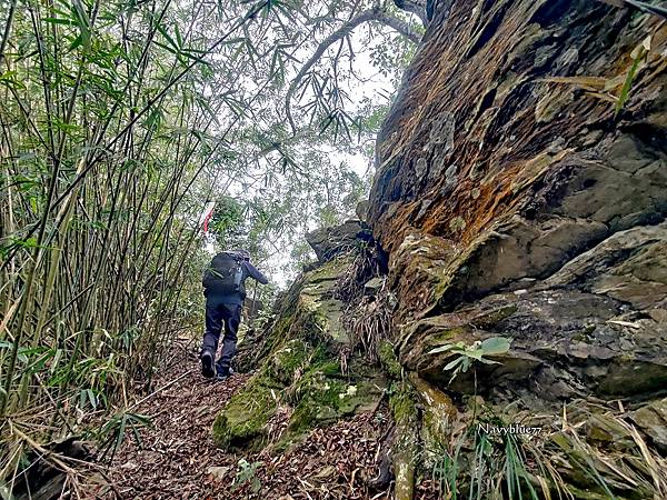 三德縱走 (7).jpg