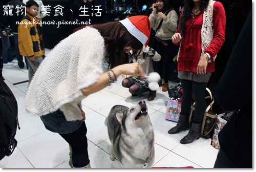 雪雪在跟美女姐姐玩