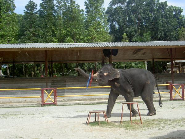 PICT8389.JPG