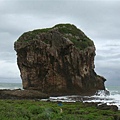 DSC00684.JPG