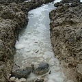 DSC00694.JPG