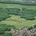 DSC00702.JPG