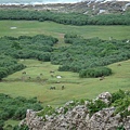 DSC00703.JPG