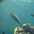 DSC00728.JPG