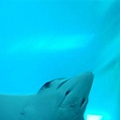 DSC00732.JPG