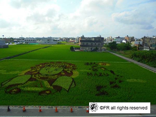 【旅遊景點】台灣-苗栗半日旅遊[銅鑼桐花步道.彩繪稻田(天后