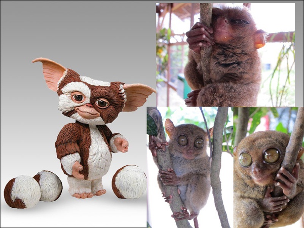 gremlins2pack.jpg