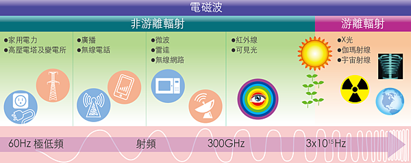p3圖(CS6).png p3圖(CS6).png