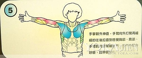 5 5