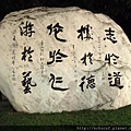 DSCN6229