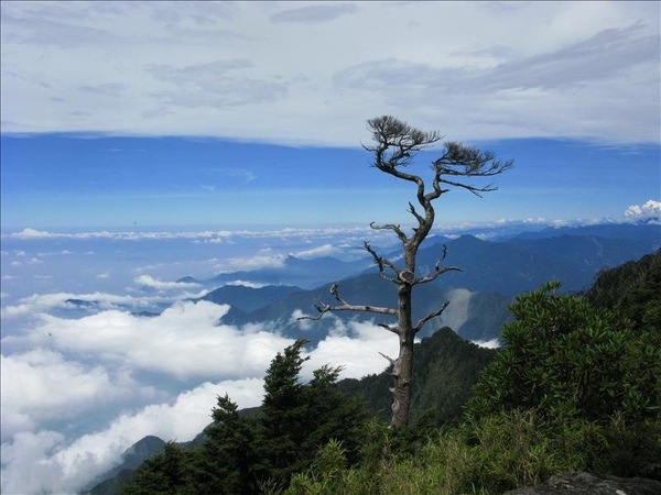 這是樹與山與雲.jpg