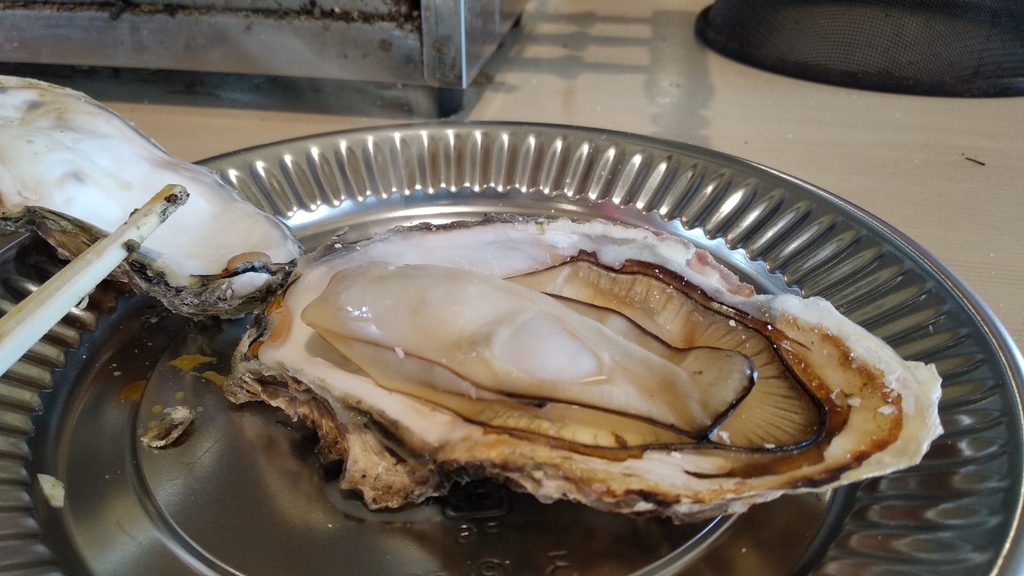 房總半島海鮮浜焼きが食べ放題 房總半島海鮮浜焼きが食べ放題