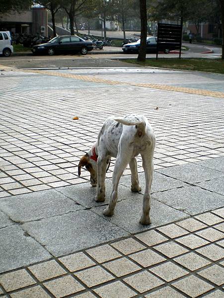 IMGP7963.jpg