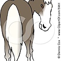 5961-Horses-Ass-Clipart-Picture.jpg