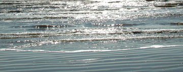 DSCN0392.JPG DSCN0392.JPG