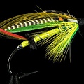 800px-Green_Highlander_salmon_fly-1.jpg