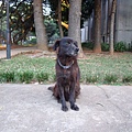 DSCF4541.jpg
