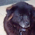 DSCF5626.jpg