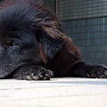 DSCF5629.jpg