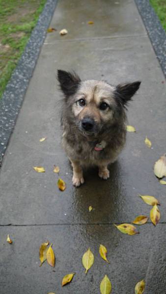 10856785_677256502384641_8757803151046676326_o