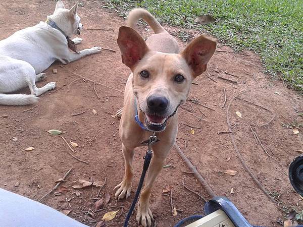 12030747_927834687297391_1623015424_n 12030747_927834687297391_1623015424_n