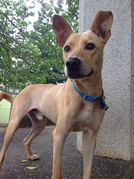 12033292_927834633964063_1469585946_n 12033292_927834633964063_1469585946_n